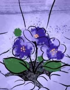 Nossas Publicações ()